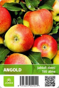 Jabloň ANGOLD - kontejner