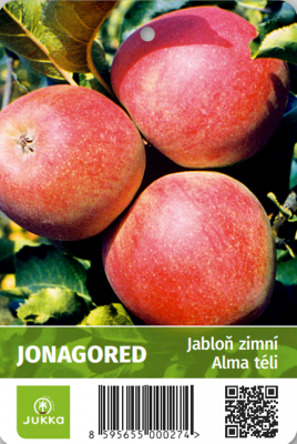 Jabloň JONAGORED  - kontejner