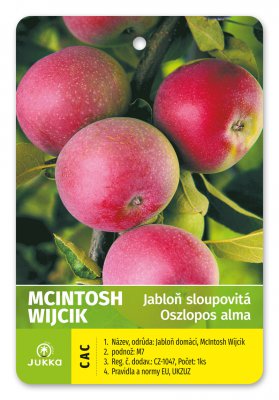 Jabloň sloupovitá MCINTOSH WIJCIK