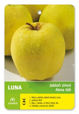 Jabloň LUNA - kontejner