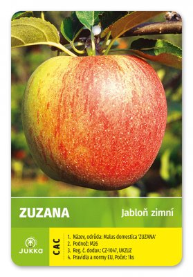Jabloň ZUZANA - kontejner
