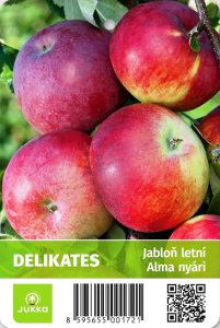 Jabloň DELIKATES - kontejner