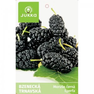 Moruše  BZENECKÁ