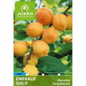 Meruňka EMERALD GOLD