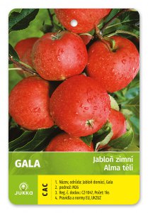 Jabloň GALA