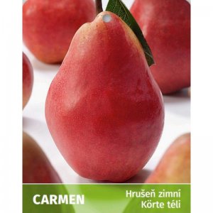 Hrušeň CARMEN