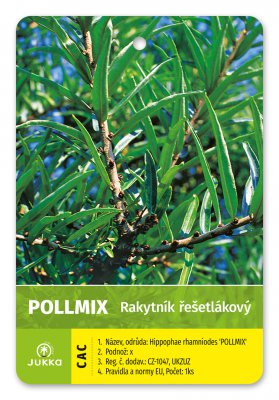 Rakytník řešetlákový POLLMIX - samec