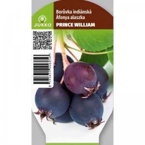 Indiánská borůvka Amelanchier PRINCE WILLIAM