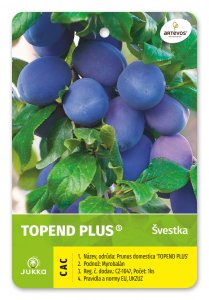 Švestka TOP END - kontejner