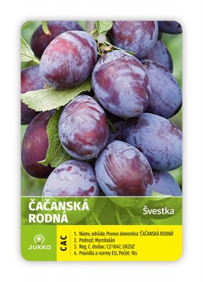 Švestka ČAČANSKÁ RODNÁ - kontejner