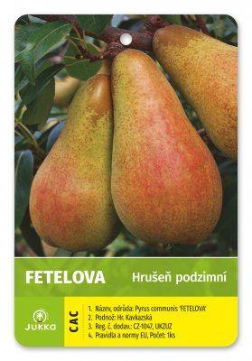 Hrušeň FETELOVA - kontejner