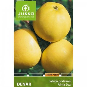 Jabloň DENÁR - kontejner