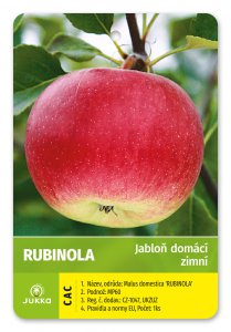 Jabloň RUBINOLA - kontejner