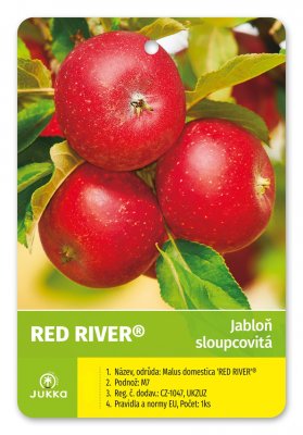 Jabloň sloupovitá RED RIVER - kontejner