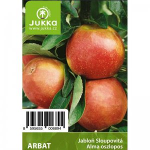 Jabloň sloupovitá ARBAT - kontejner