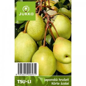 Asijská hrušeň TSU LI - kontejner