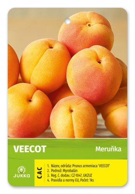 Meruňka VEECOT - kontejner