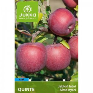 Jabloň QUINTE - kontejner