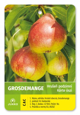 Hrušeň GROSDEMANGE - kontejner