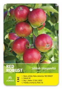 Jabloň sloupovitá RED ROBUST - kontejner