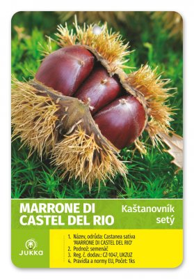 Kaštan jedlý - MARRONE DI CASTEL DEL RIO