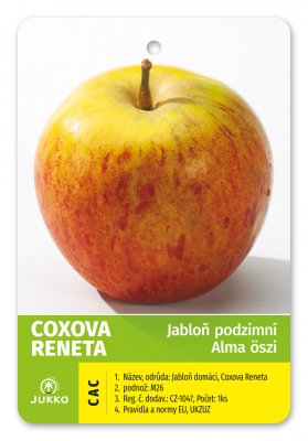 Jabloň COXOVA RENETA - kontejner