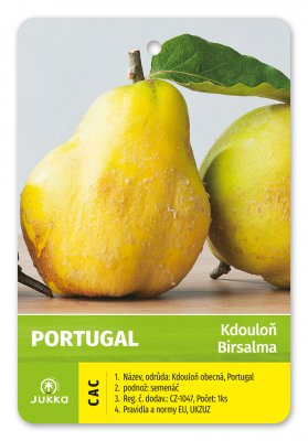 Kdouloň PORTUGAL - kontejner