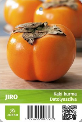 Kaki churma JIRO