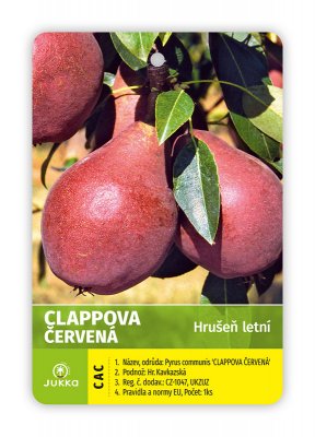 Hrušeň CLAPPOVA ČERVENÁ - kontejner