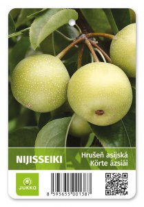 Asijská hrušeň NIJISSEIKI - kontejner