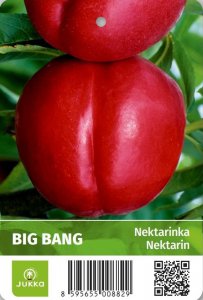 Nektarinka BIG BANG - kontejner