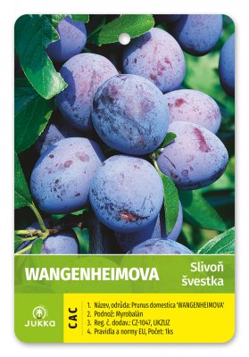 Švestka WANGENHEIMOVA - kontejner