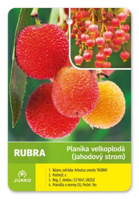 Arbutus unguicularis - RUBRA - kontejner