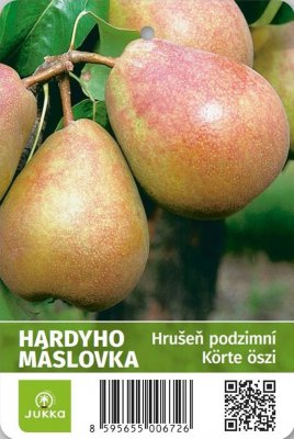 Hrušeň HARDYHO MÁSLOVKA - kontejner