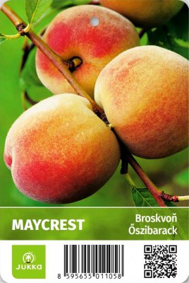 Broskvoň MAYCREST