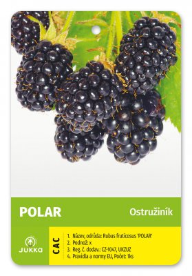 Ostružiník POLAR