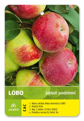 Jabloň LOBO