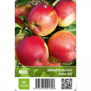 Jabloň MIO