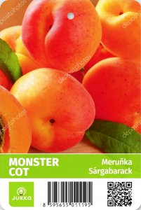 Meruňka MONSTER COT - kontejner