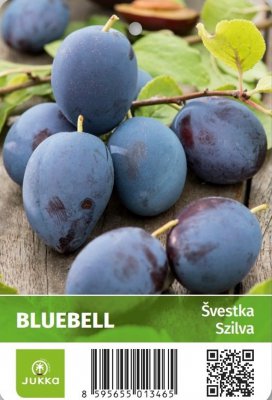 Švestka BLUEBELL