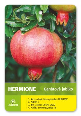 Granátové jablko HERMIONE