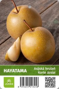Asijská hrušeň HAYATAMA