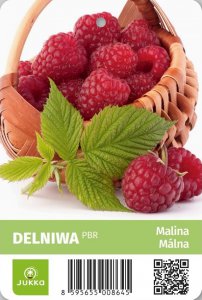 Maliník DELNIVA