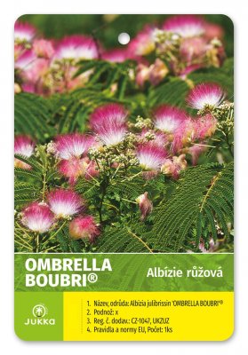 Albízie růžová OMBRELLA BOUBRI - kontejner