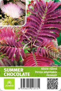 Albizie růžová SUMMER CHOCOLATE - kontejner