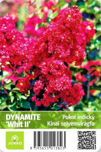 Pukol indický - DYNAMITE WHIT II