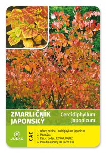 Zmarličník japonský