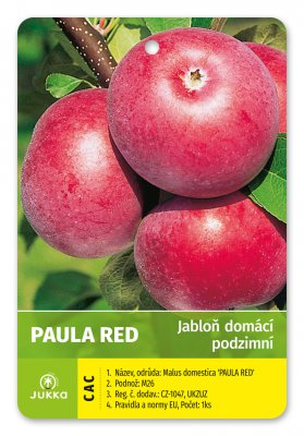 Jabloň PAULA RED