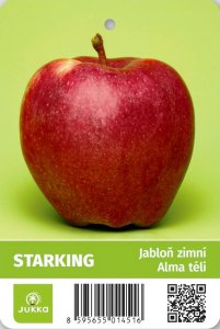Jabloň STARKING