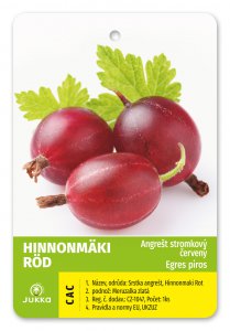 Angrešt stromkový červený HINNONMÄKI ROT